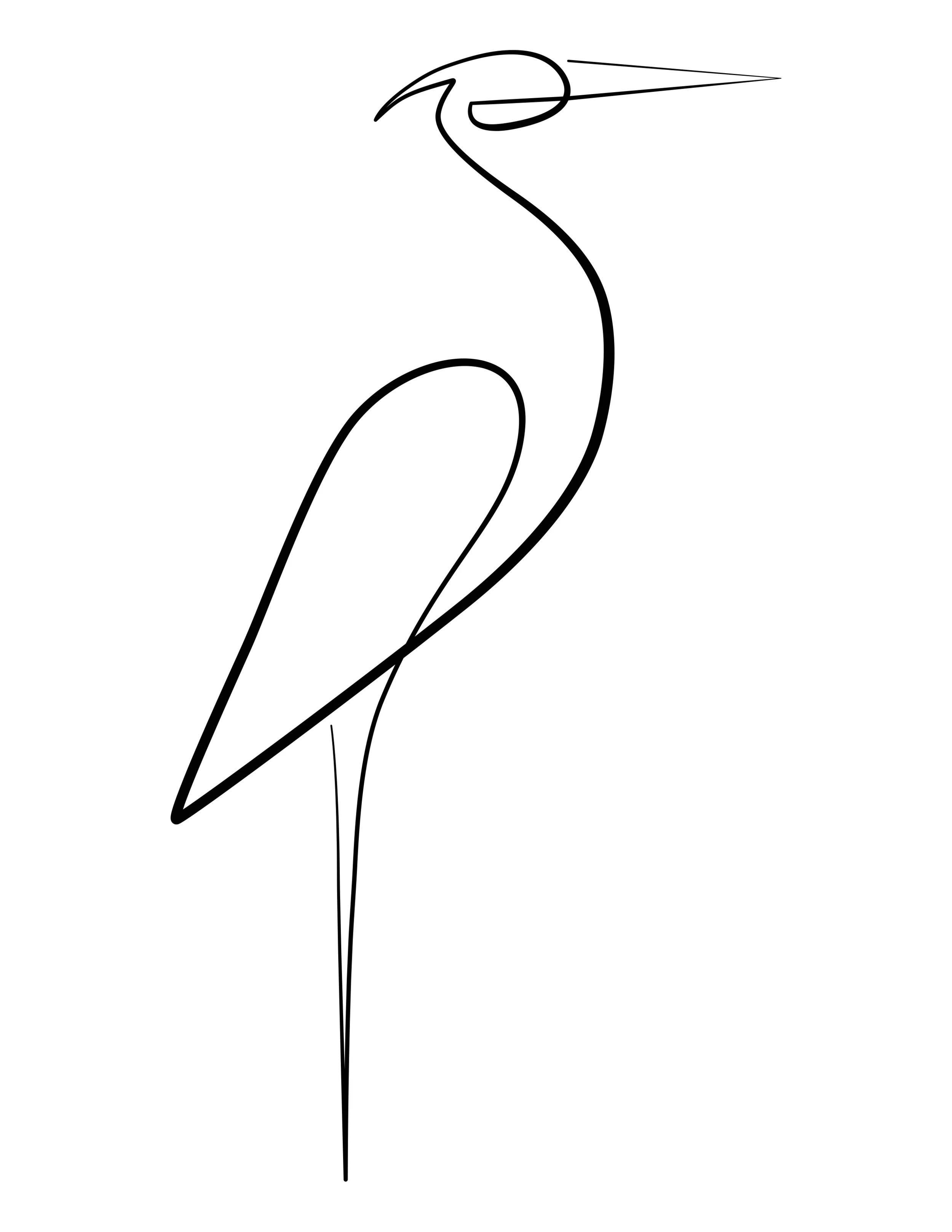 heron line.jpg