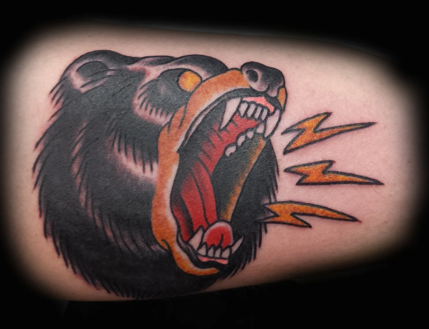 bear.jpg