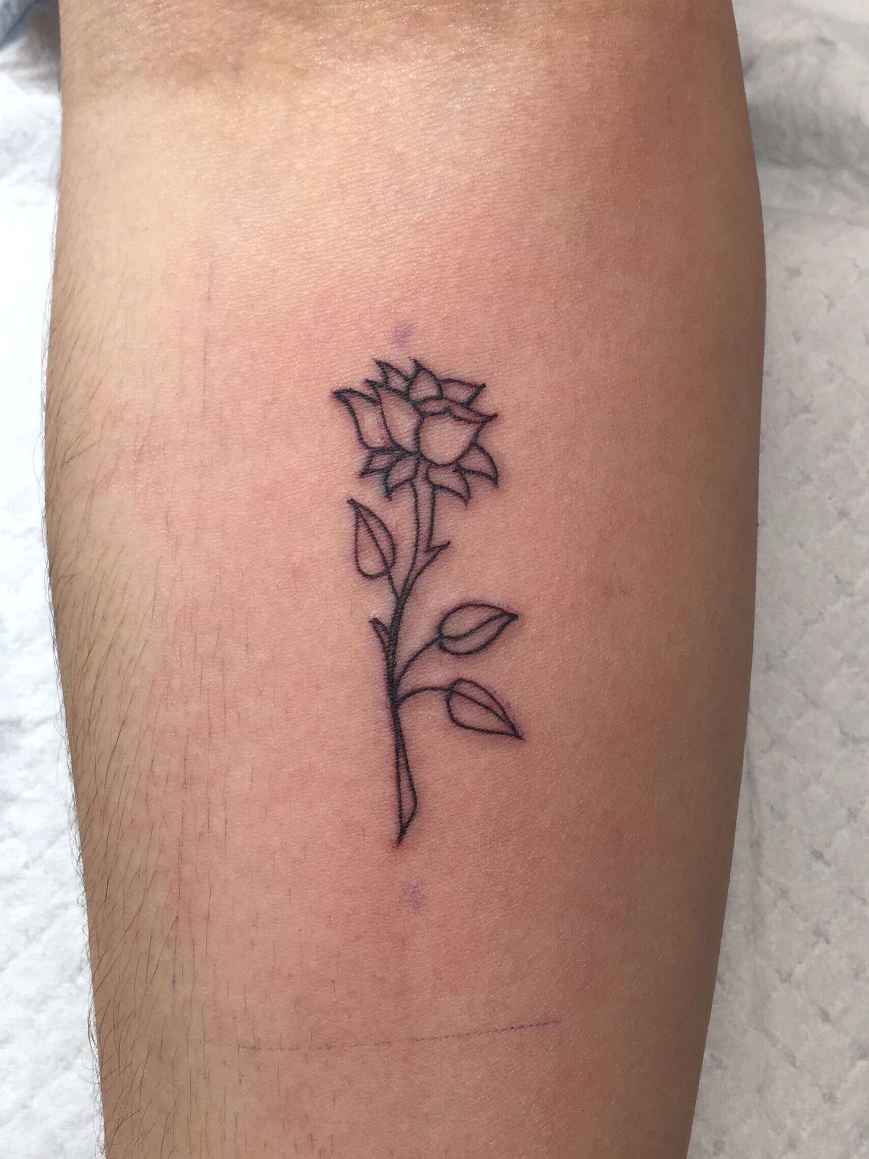 Tiny Rose outline
