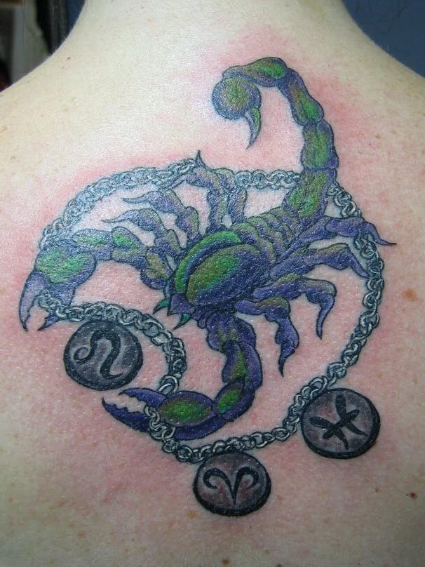 Zodiac Scorpion