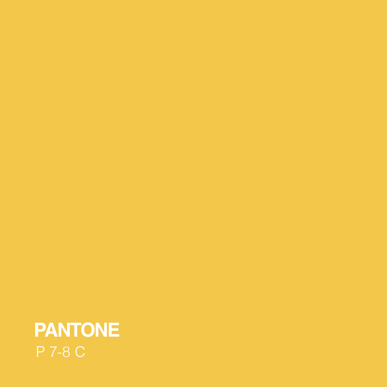 HYM Pantoe graphic Yellow-2.png
