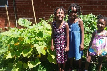 healthy garden.jpg