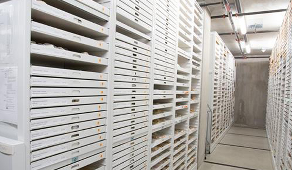 swat_storage5.jpg