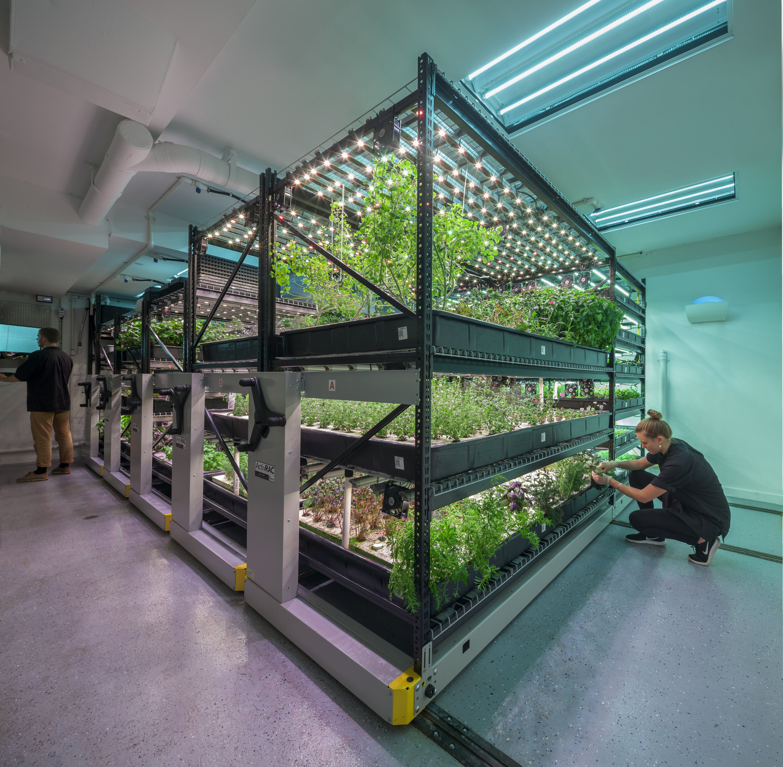 Vertical Urban Farm