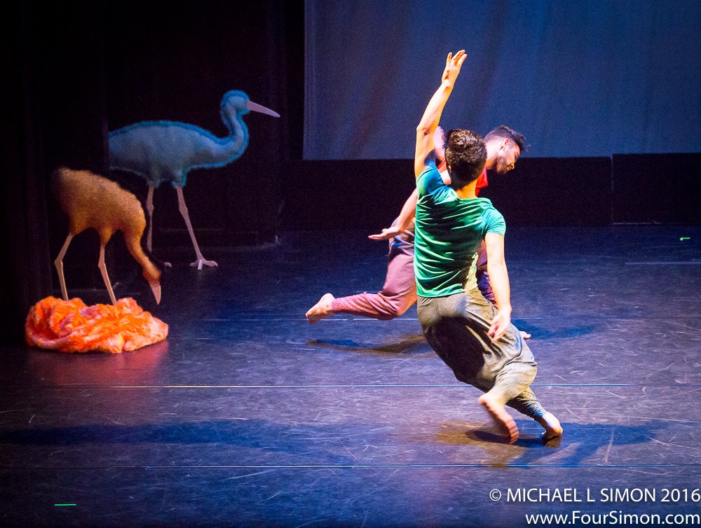 Photo by Michael L Simon