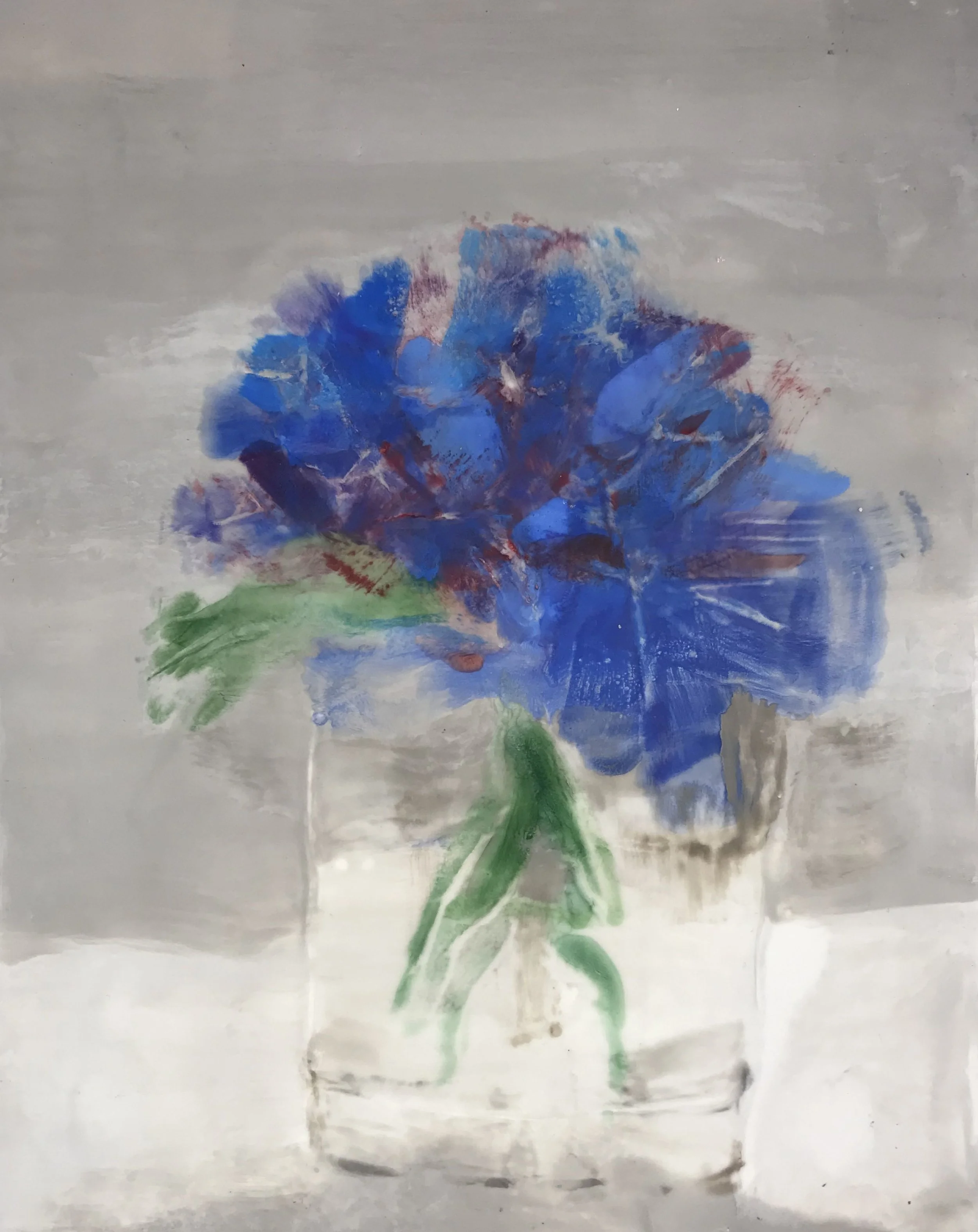 Hydrangea