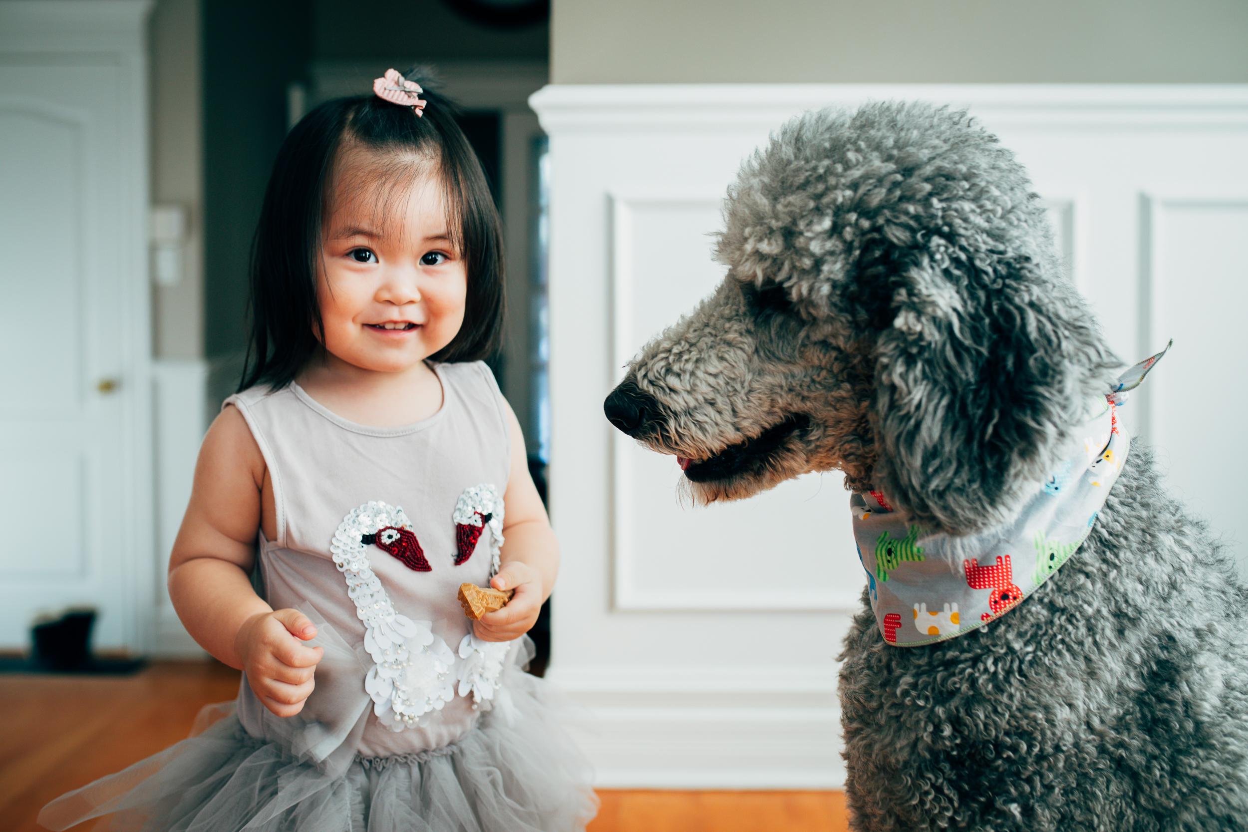 Montreal-children-family-photographer-07.jpg