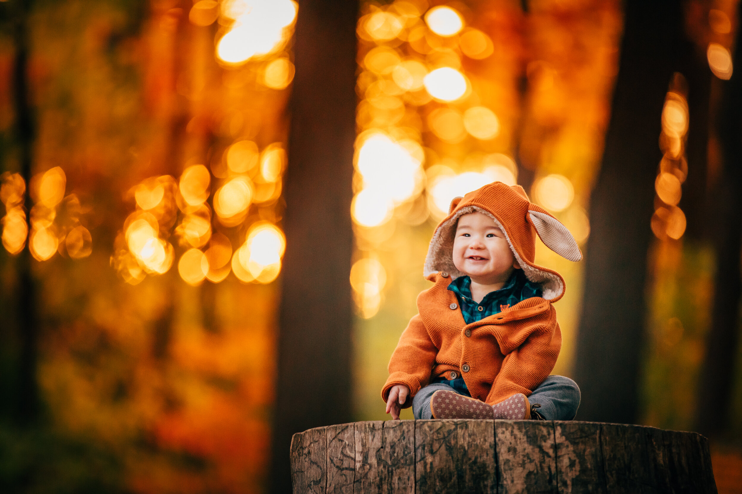 Montreal-baby-children-photographer-33.jpg