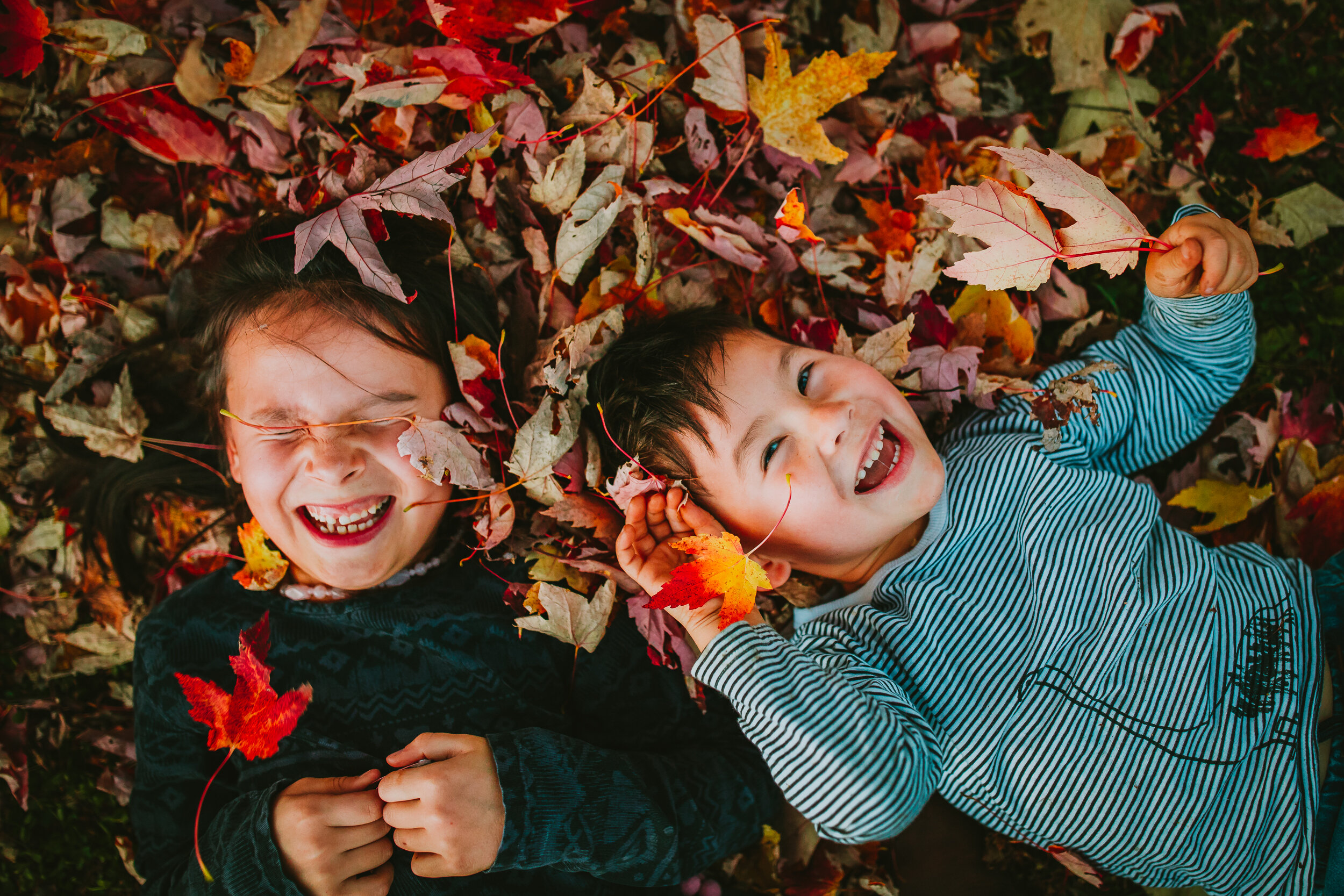 Montreal-baby-children-photographer-23.jpg