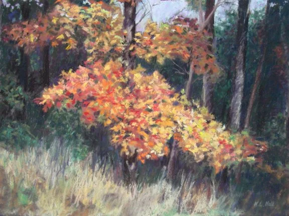 Autumn Cascade