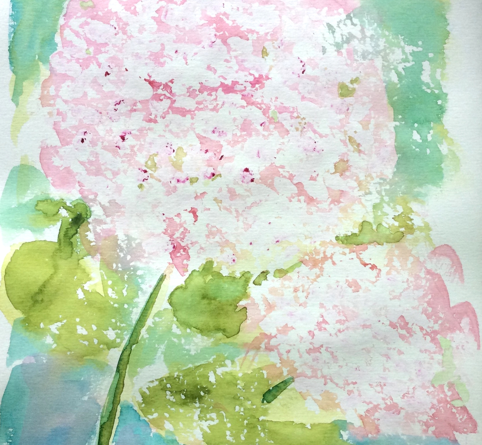 "Imagined Hydrangeas" Art journal, watercolour.