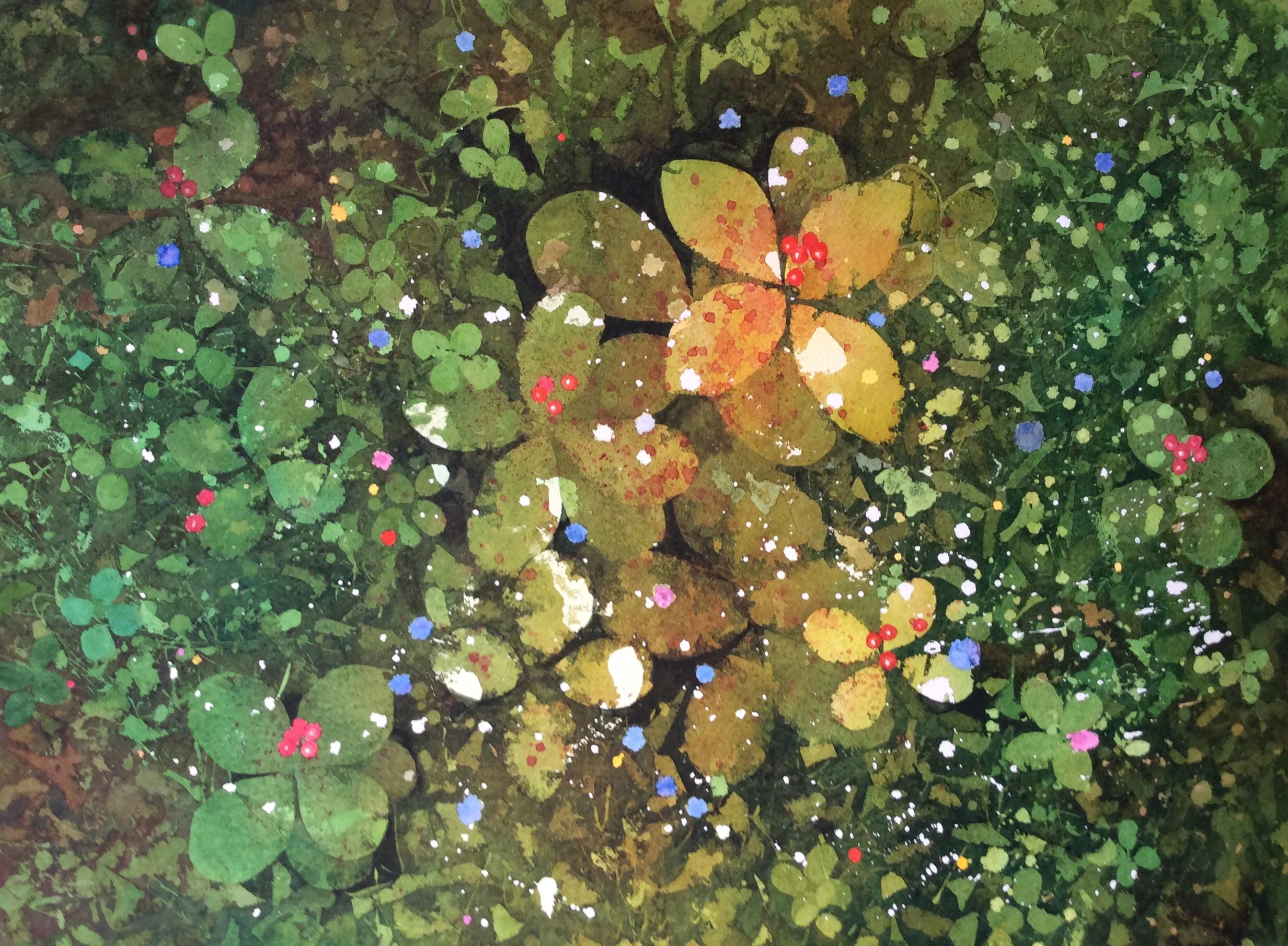 Wildflowers in the Woods