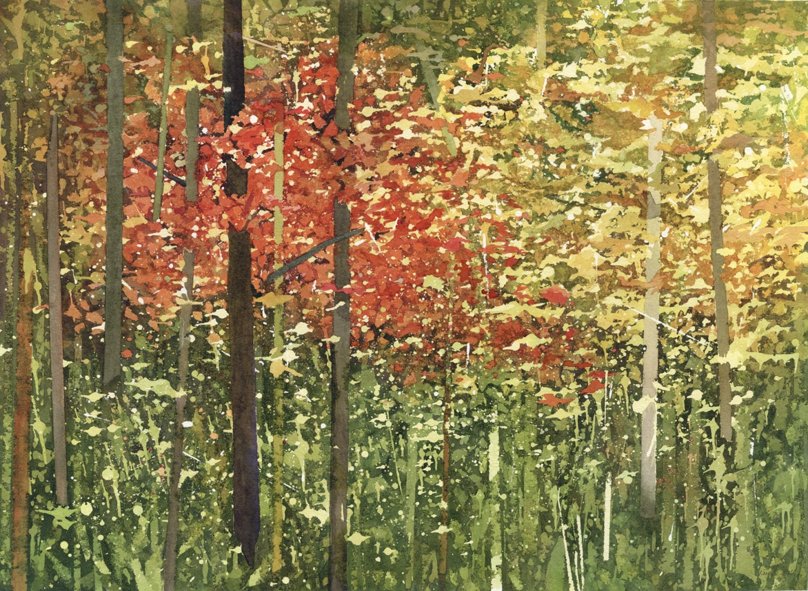 Trees for Dini