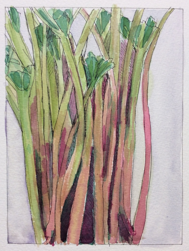 "First Rhubarb" Art journal, ink and watercolour
