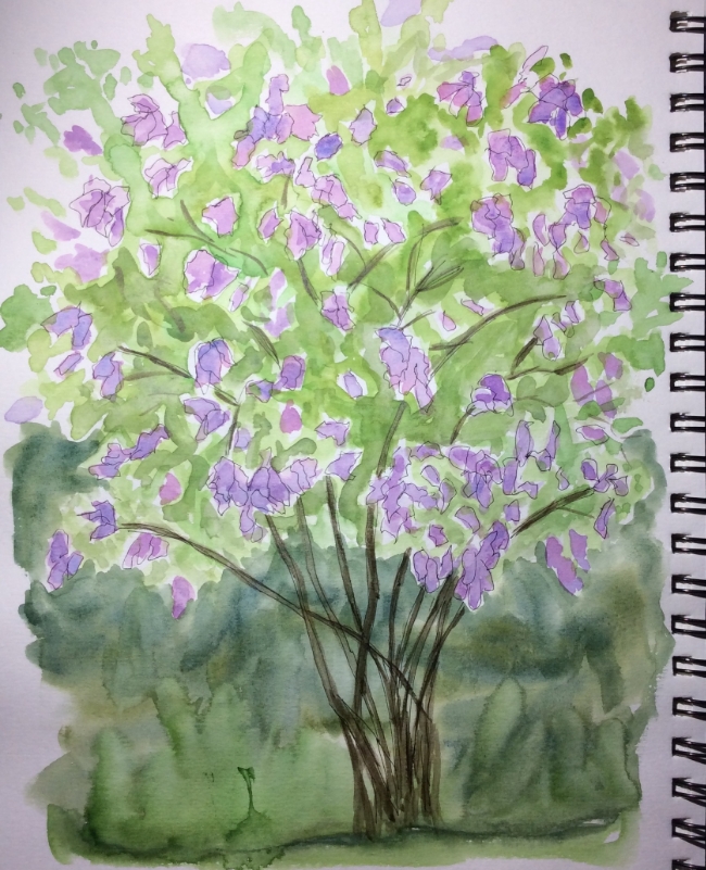 "My Lilac Is In Bloom" Art journal, watercolour and ink