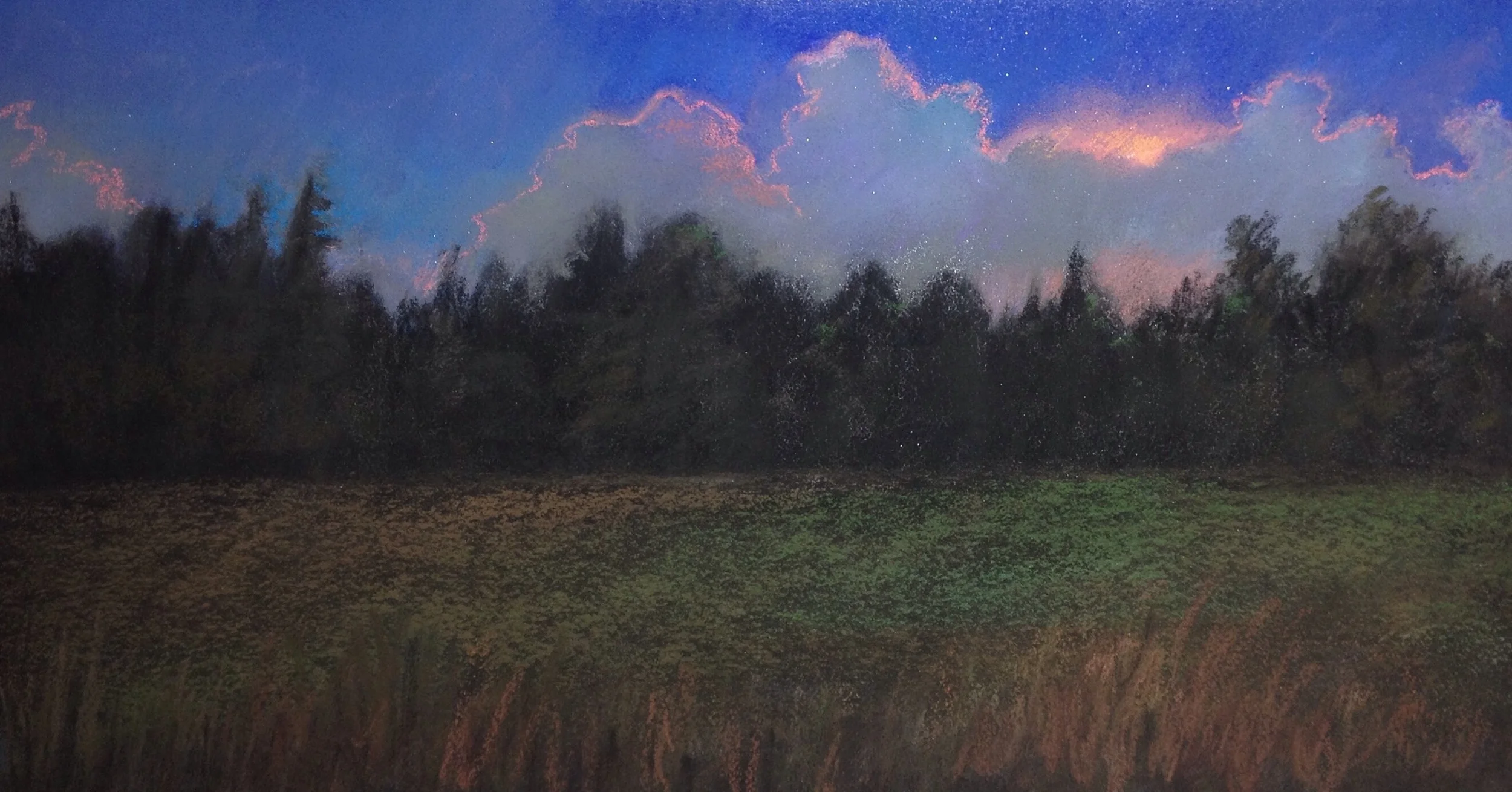 Title TBD. Pastel, 7x14"