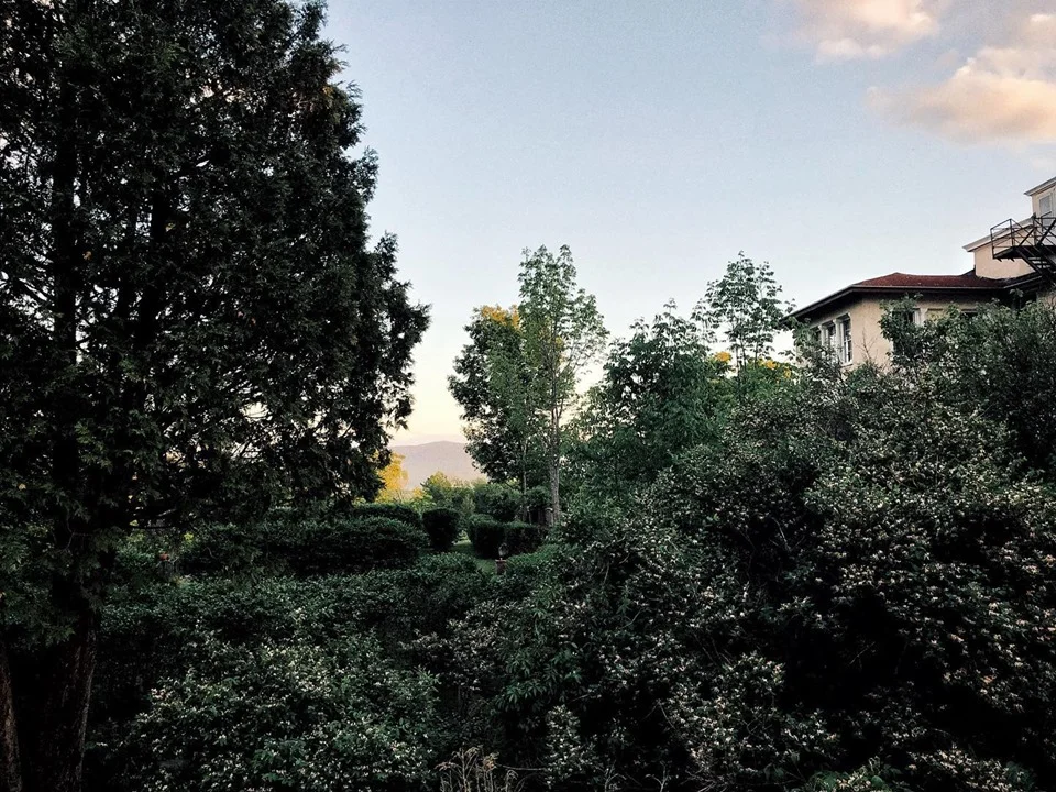 Garden Walk Monadnock.jpg