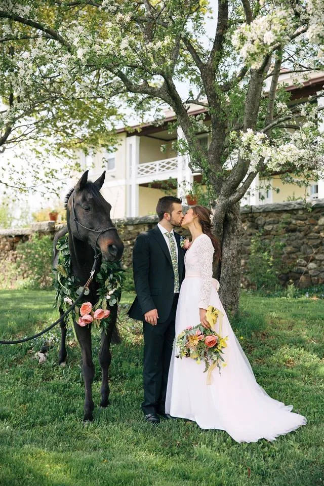 Horse and bride.jpg