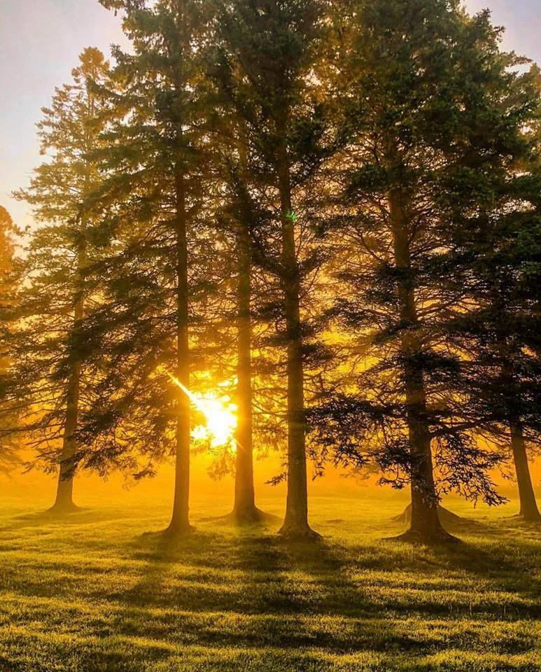 Sunrise in the morning.jpg