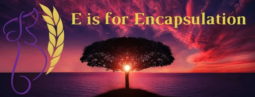 E is for Encapsulation