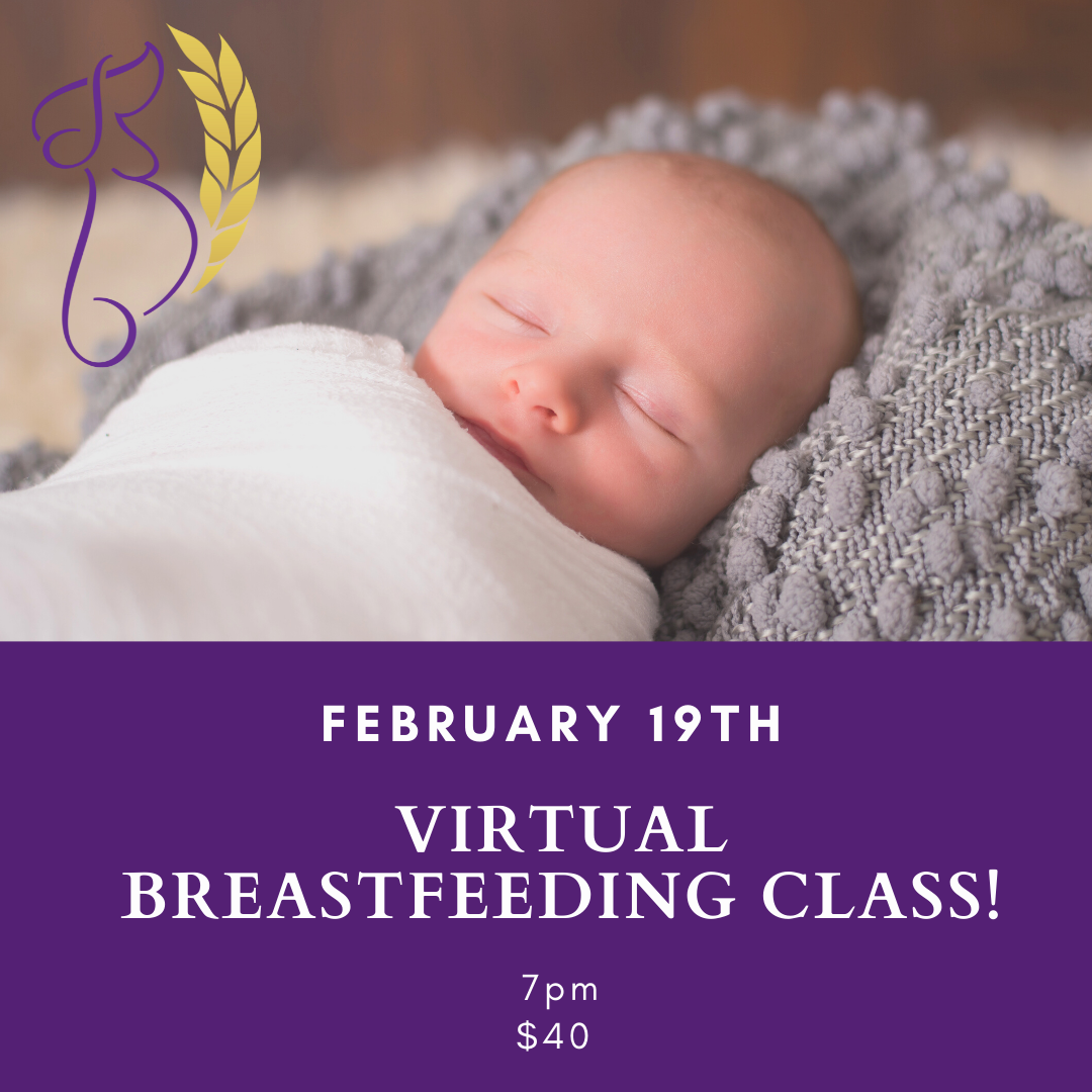 Breastfeeding Basics (Virtual)