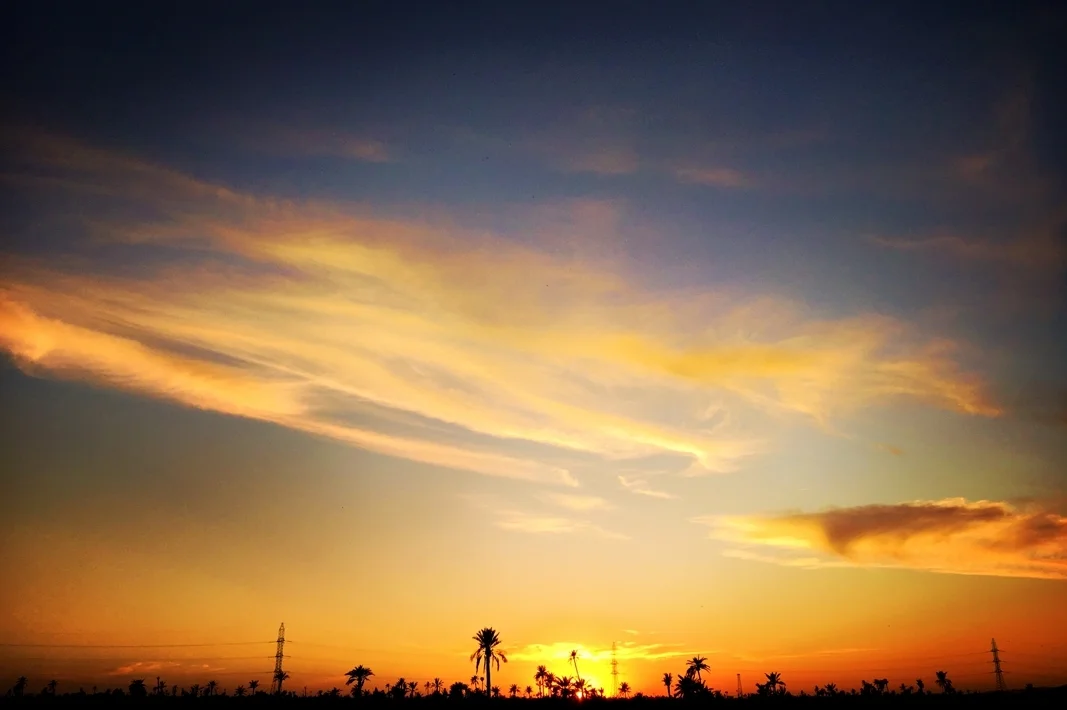 Sunset sur la Palmeraie @ Marrakech - Mars 2016