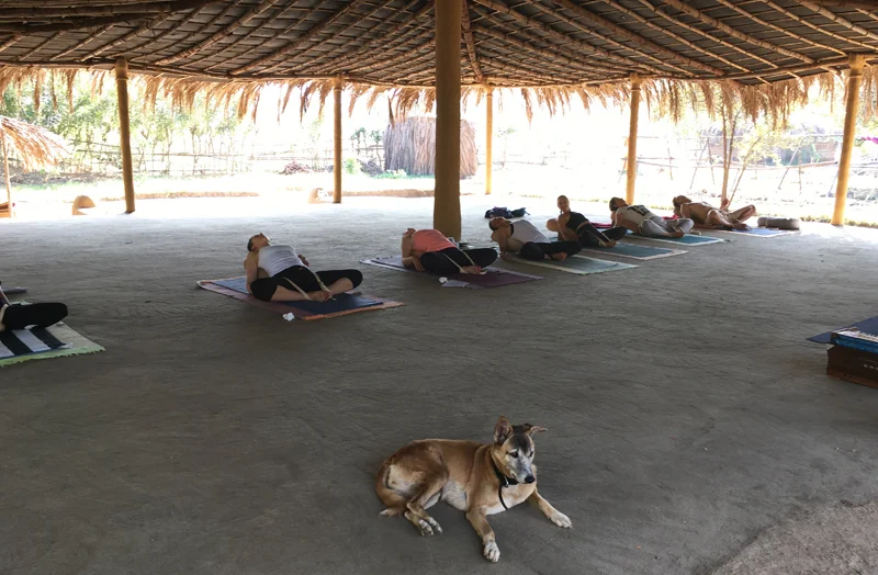 Restorative Yoga @ Yoga Magic Goa - Janvier 2017
