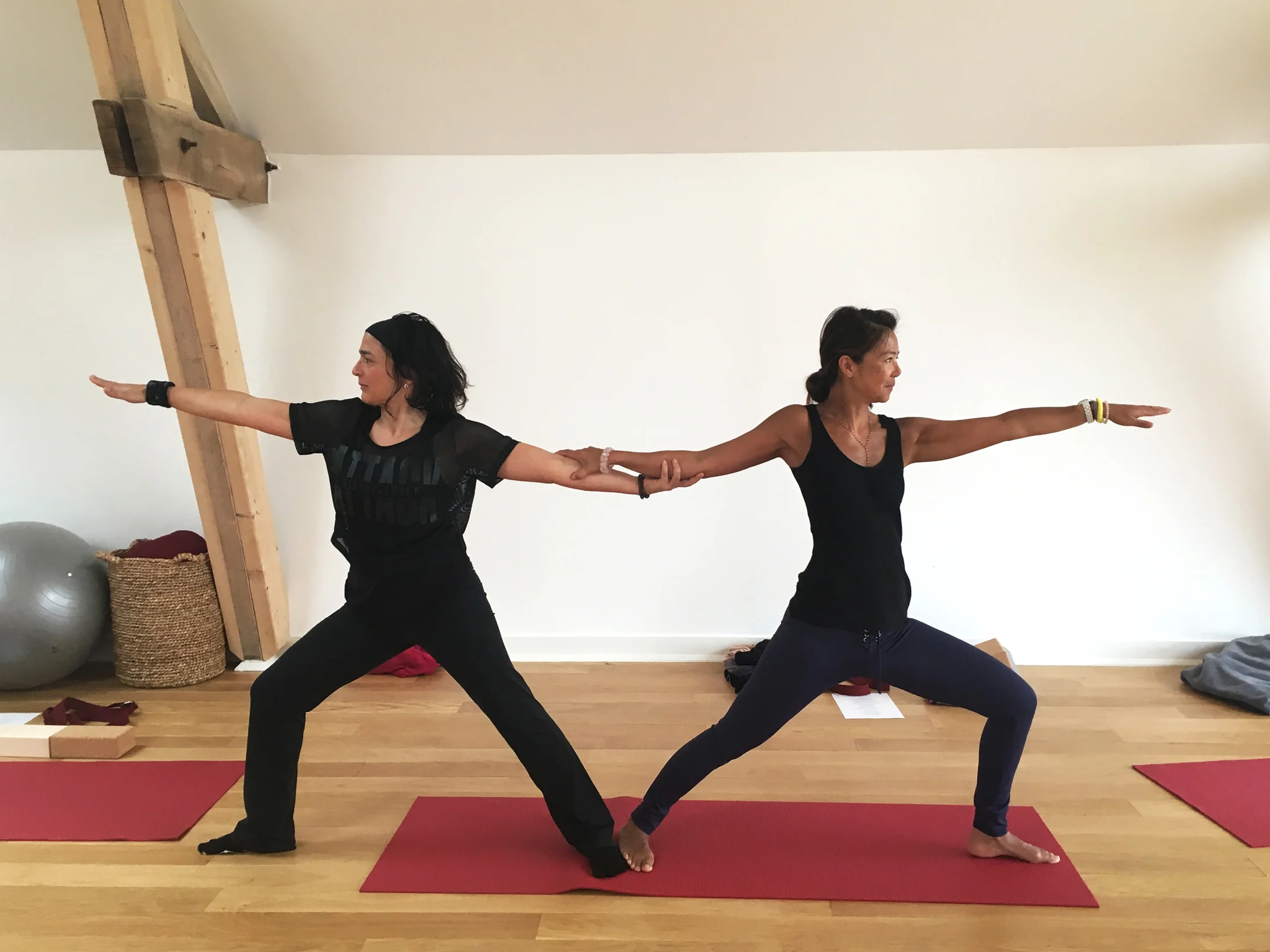 Partner warrior @ La Ferme de Solterre - Mars 2017