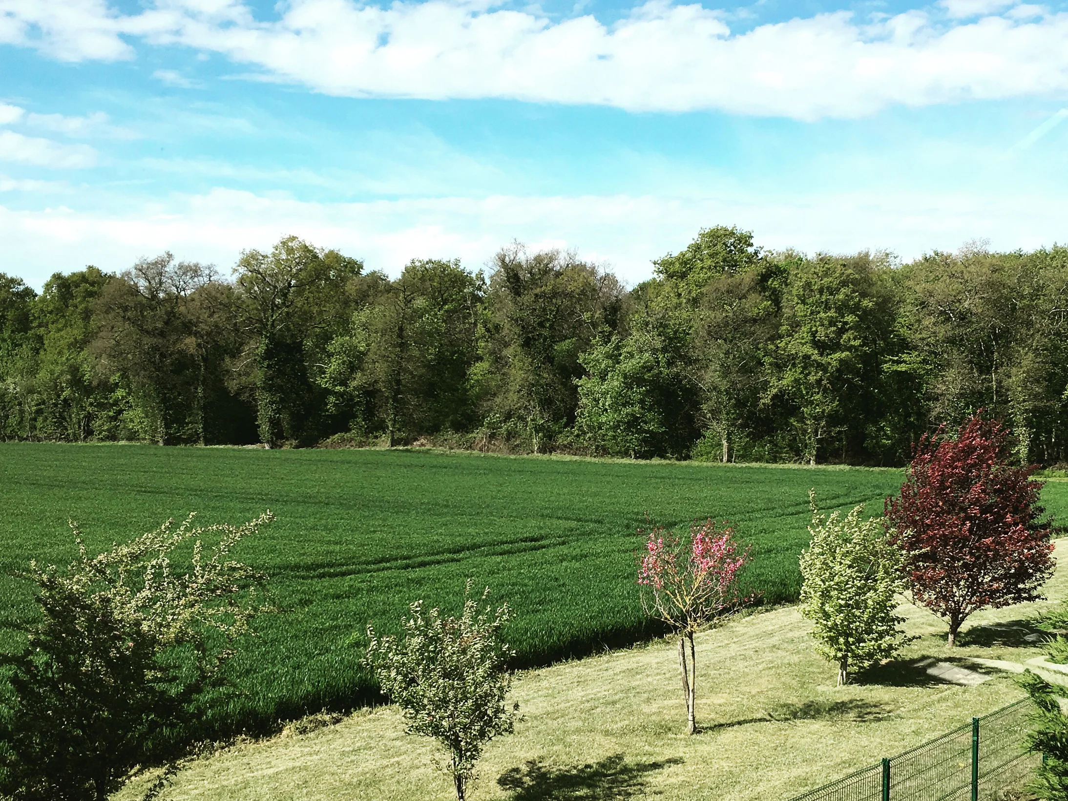 Nature around @ La Ferme de Solterre - Mai 2017