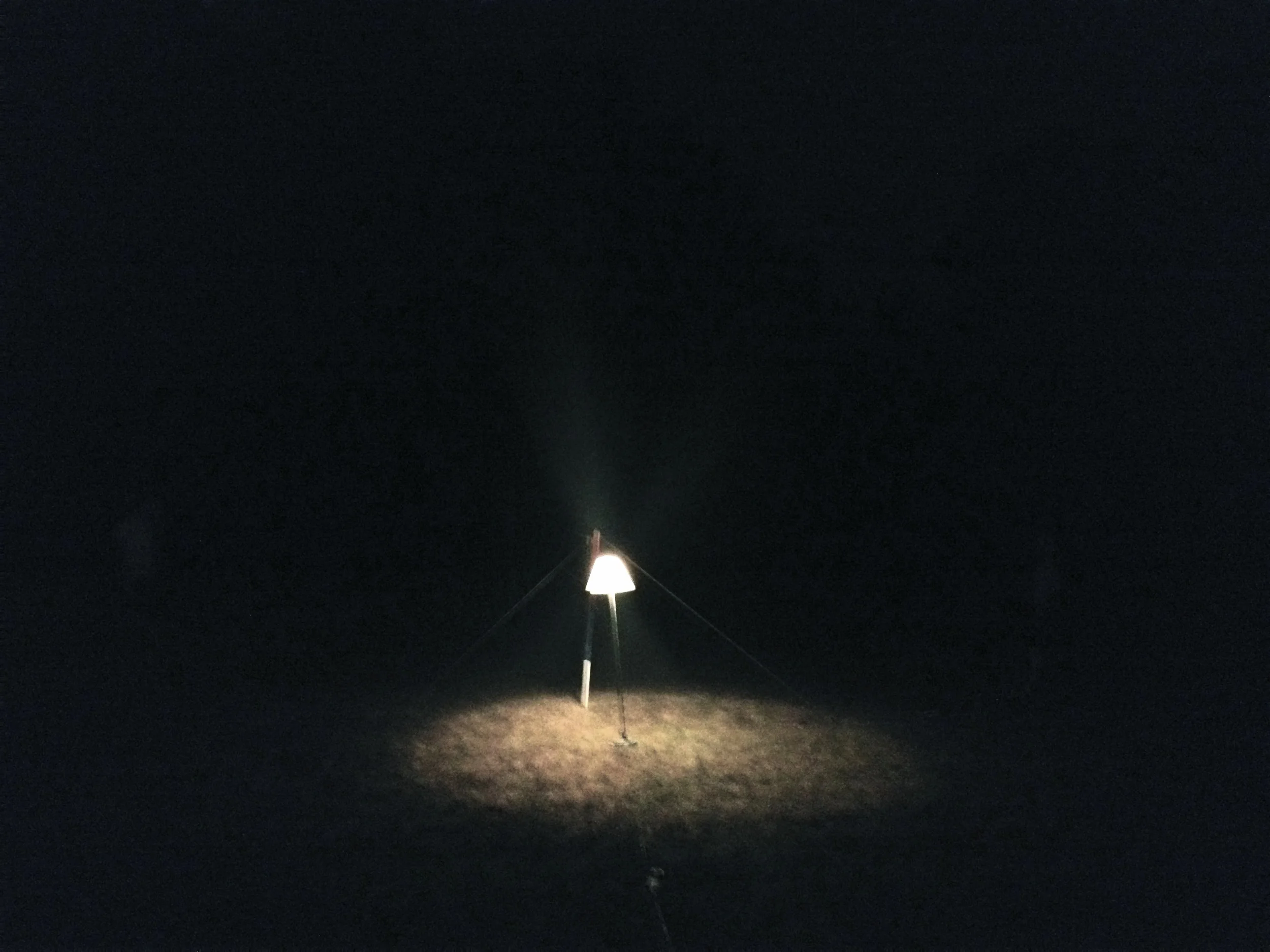   lamp , hampshire, 2013 © 