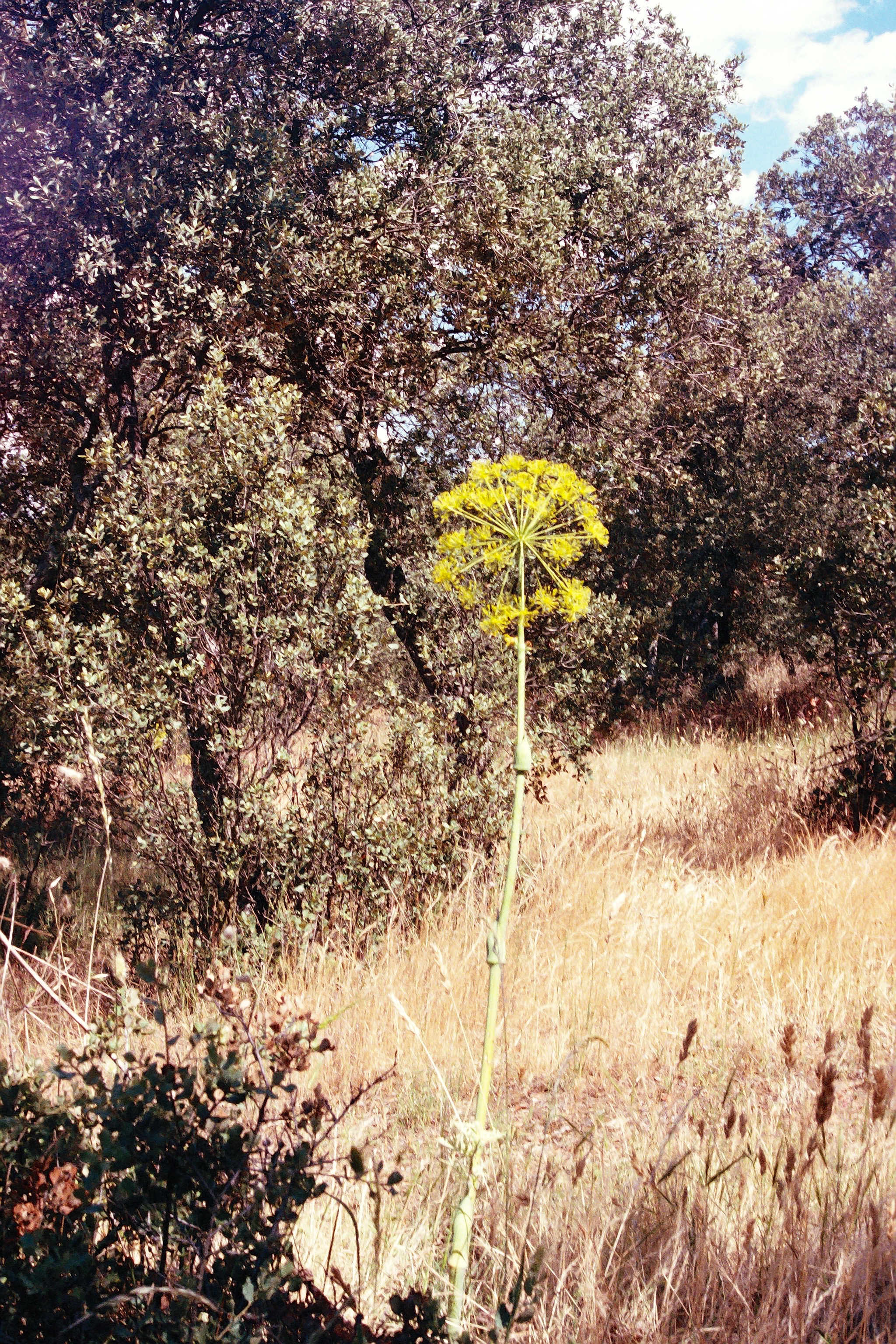 R001-034.JPG