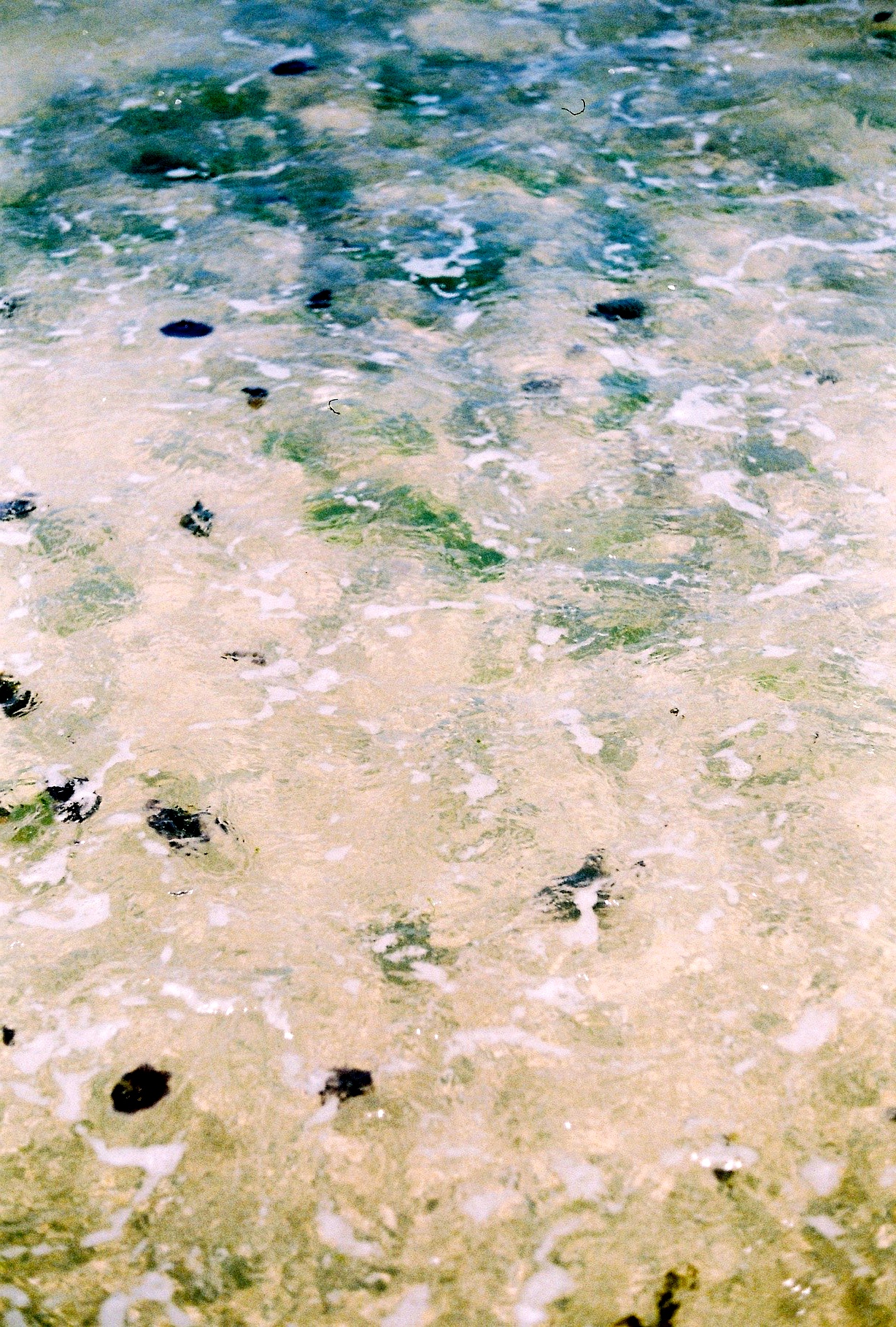 CNV00017.jpg