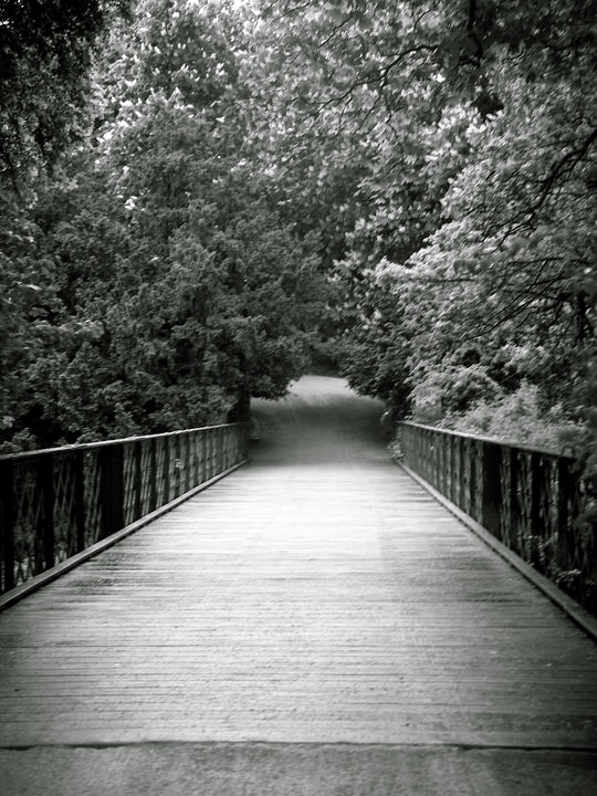   bridge , copenhagen, 2011 © 