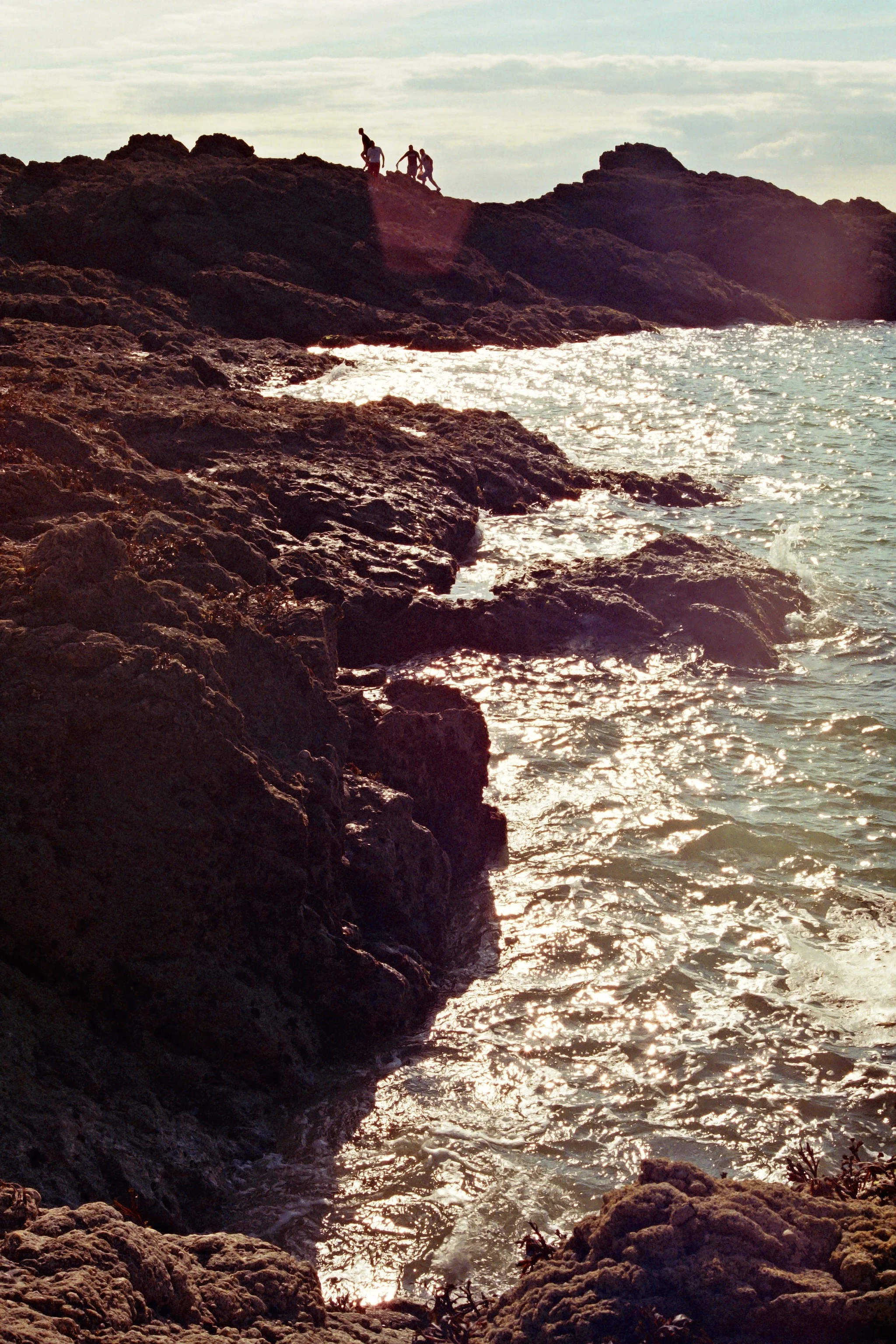 r003-009.jpg