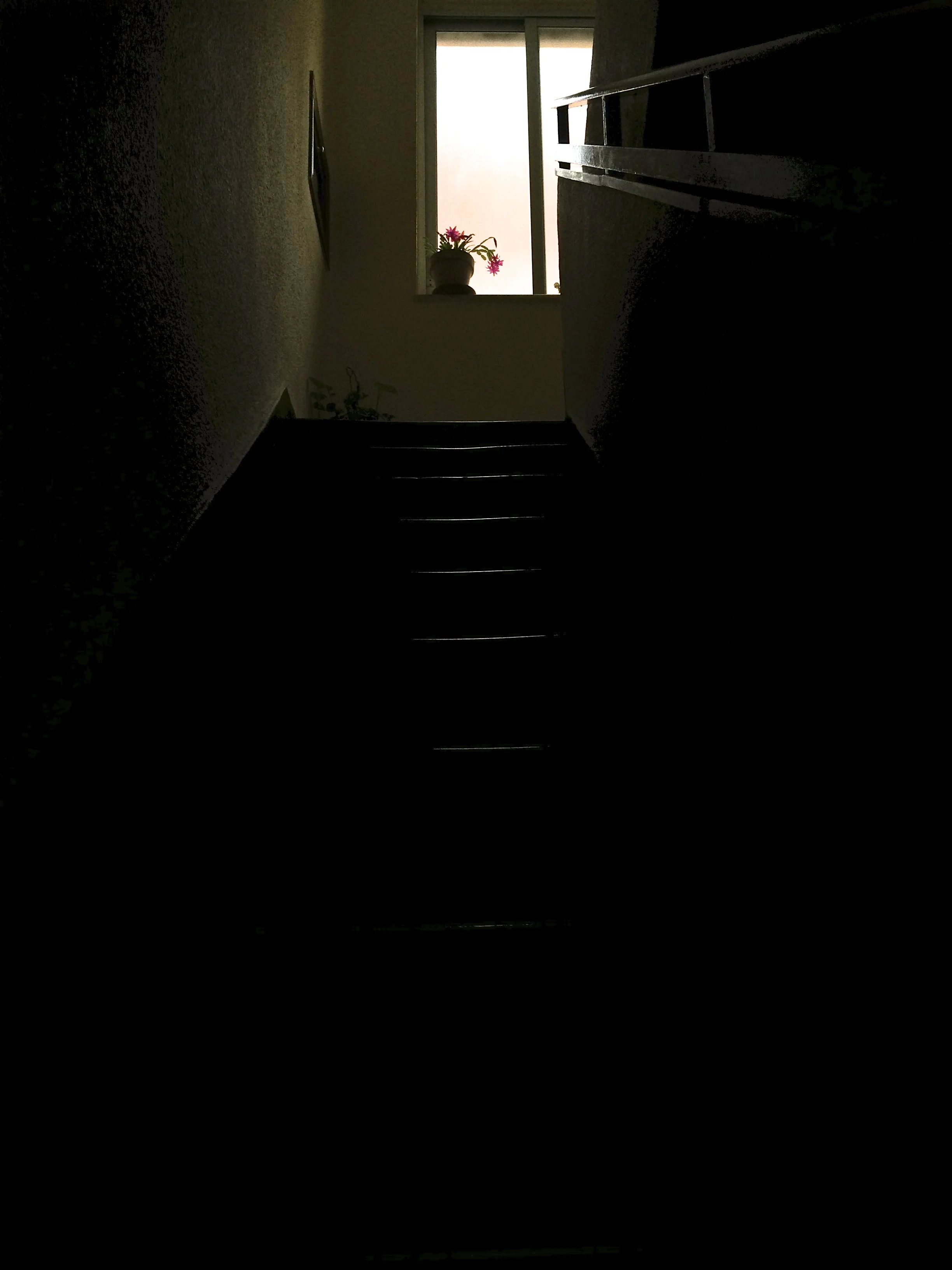   i met a man who wasn't there , salamanca, 2014 © 