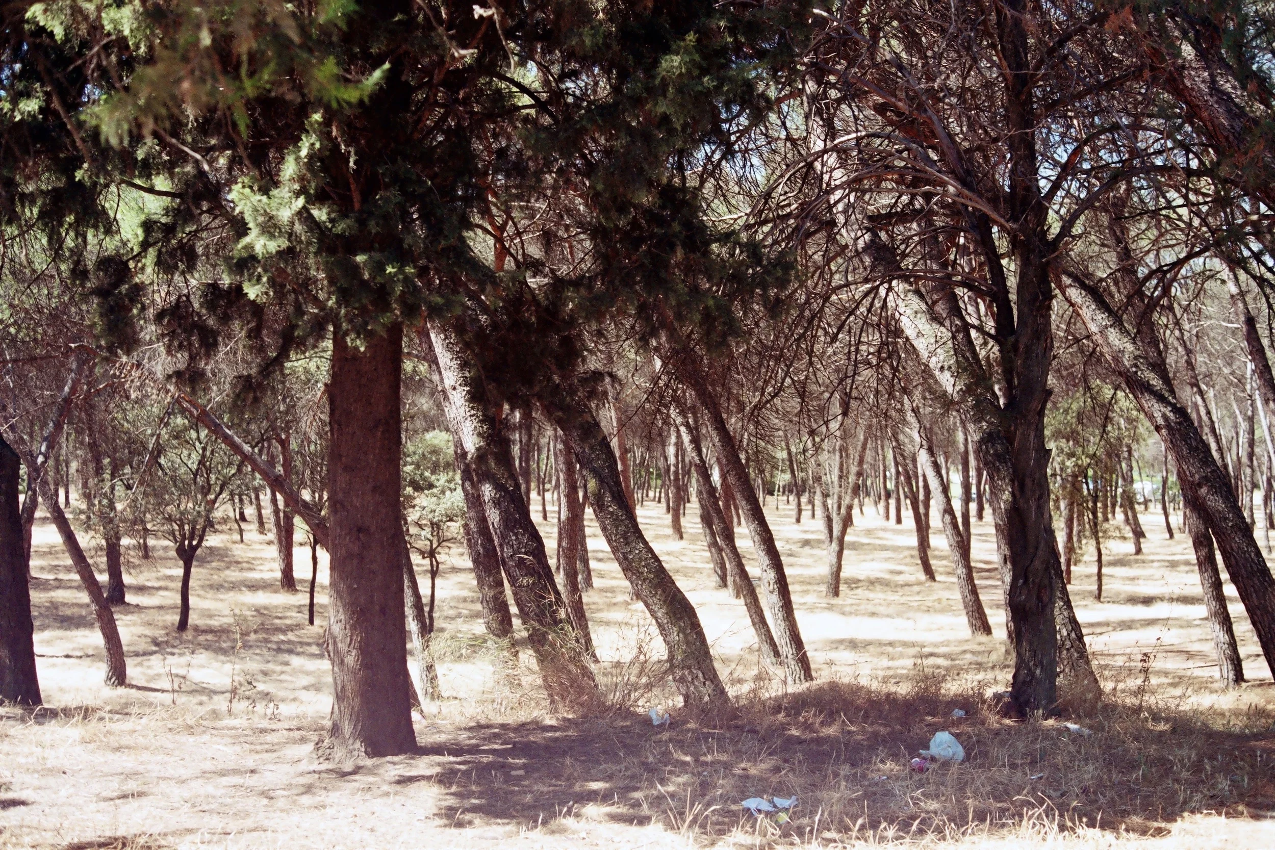 r002-007.jpg