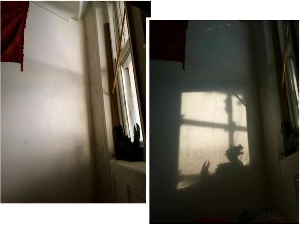   dragon , brighton, 2015 © 