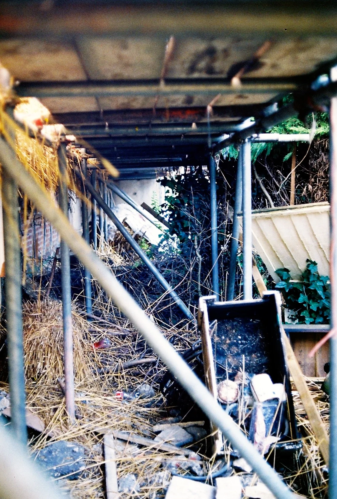 FH000019.jpg