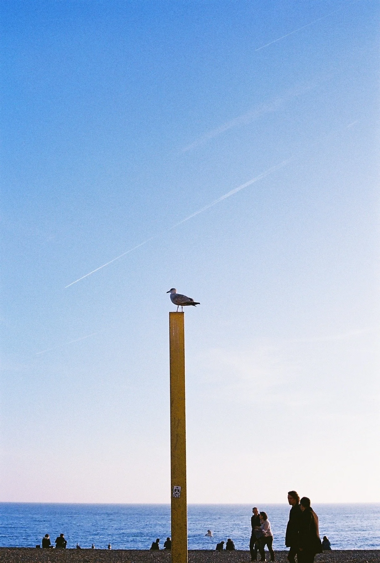CNV00018.jpg
