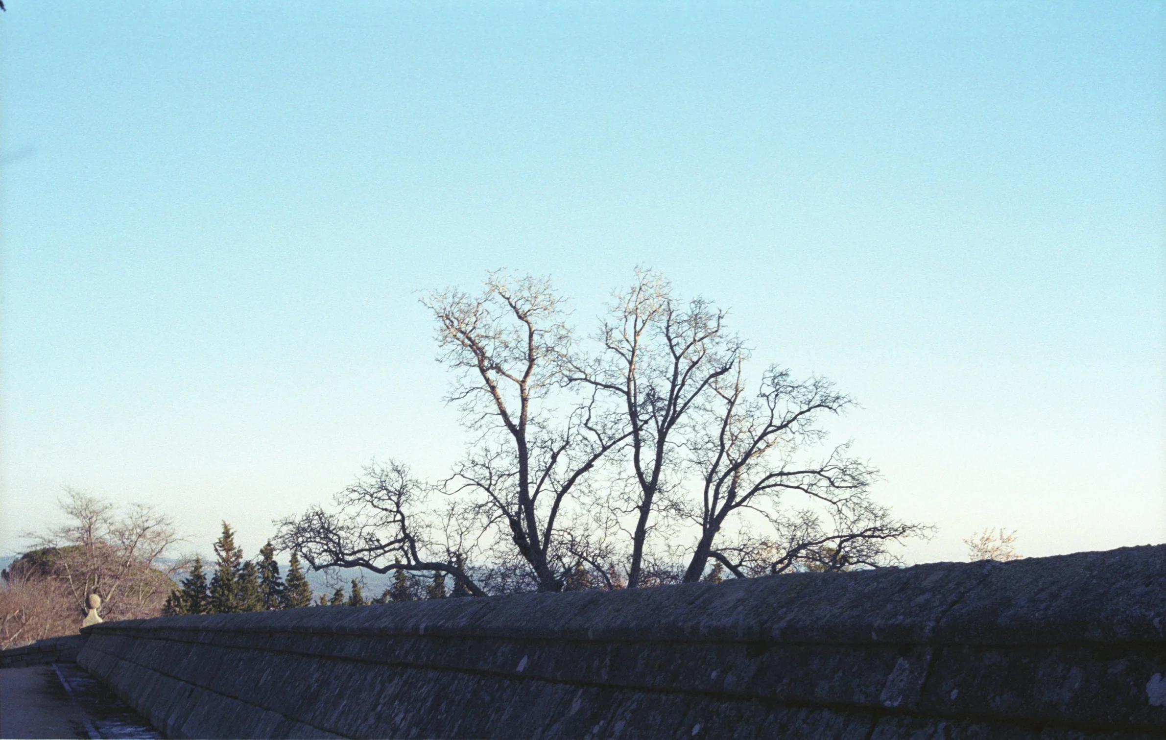 Img035.jpg