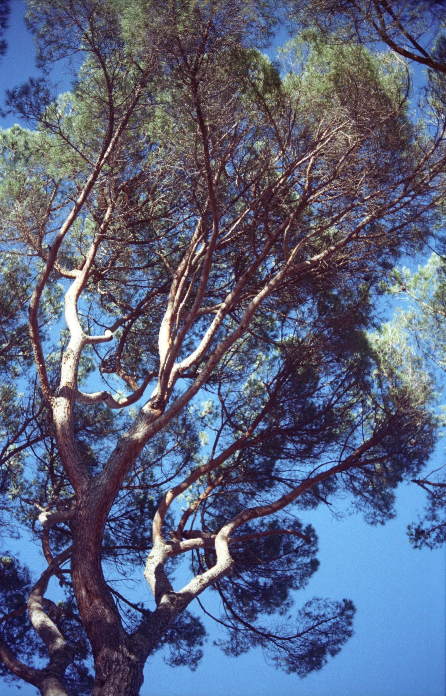 Img036.jpg