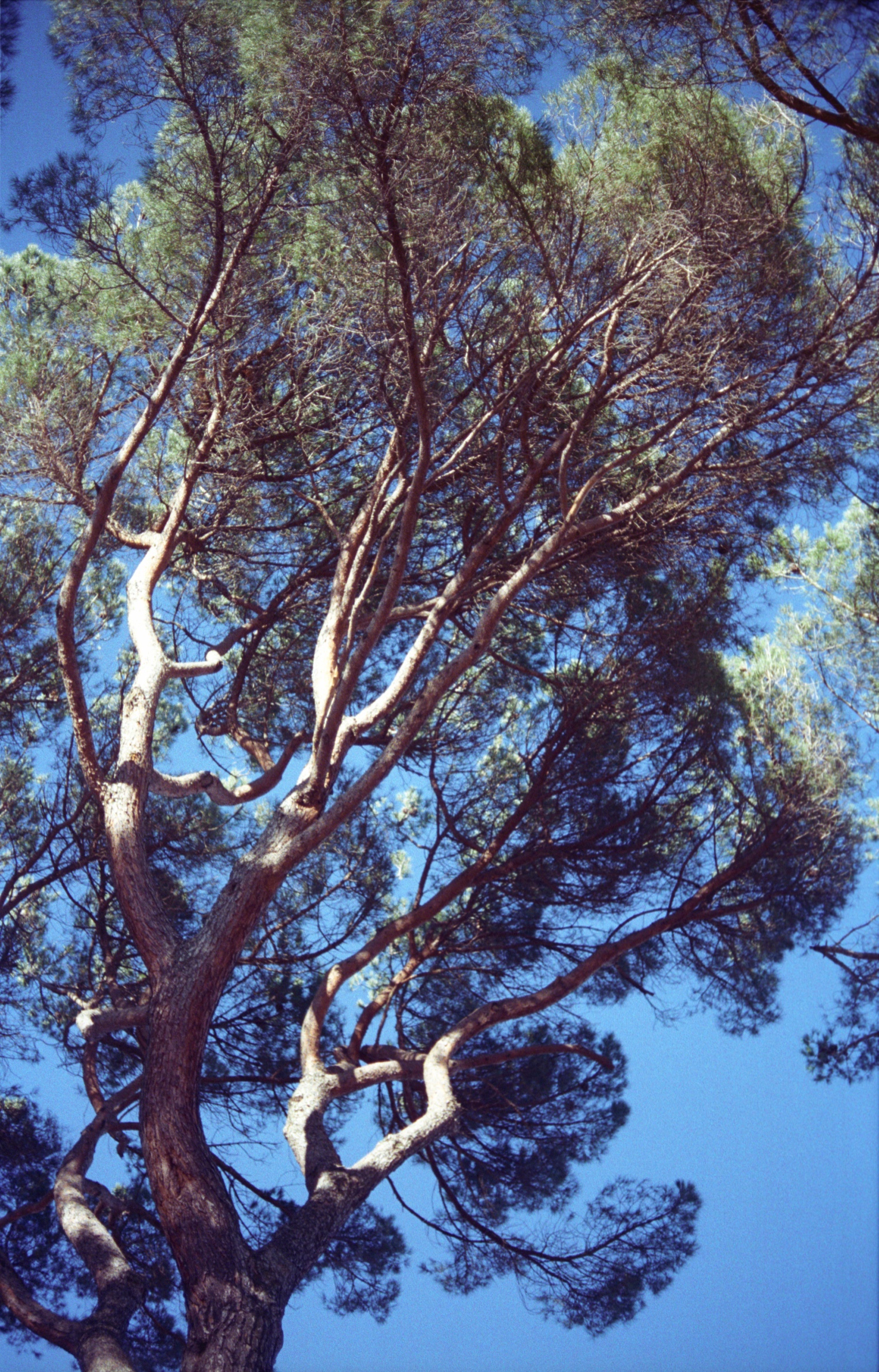 Img036.jpg