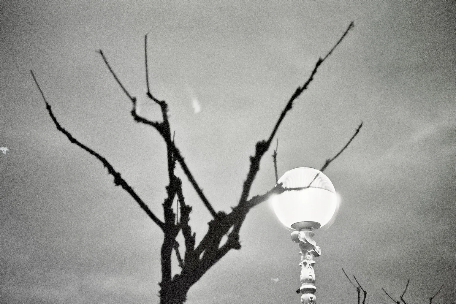 10A_0048.jpg