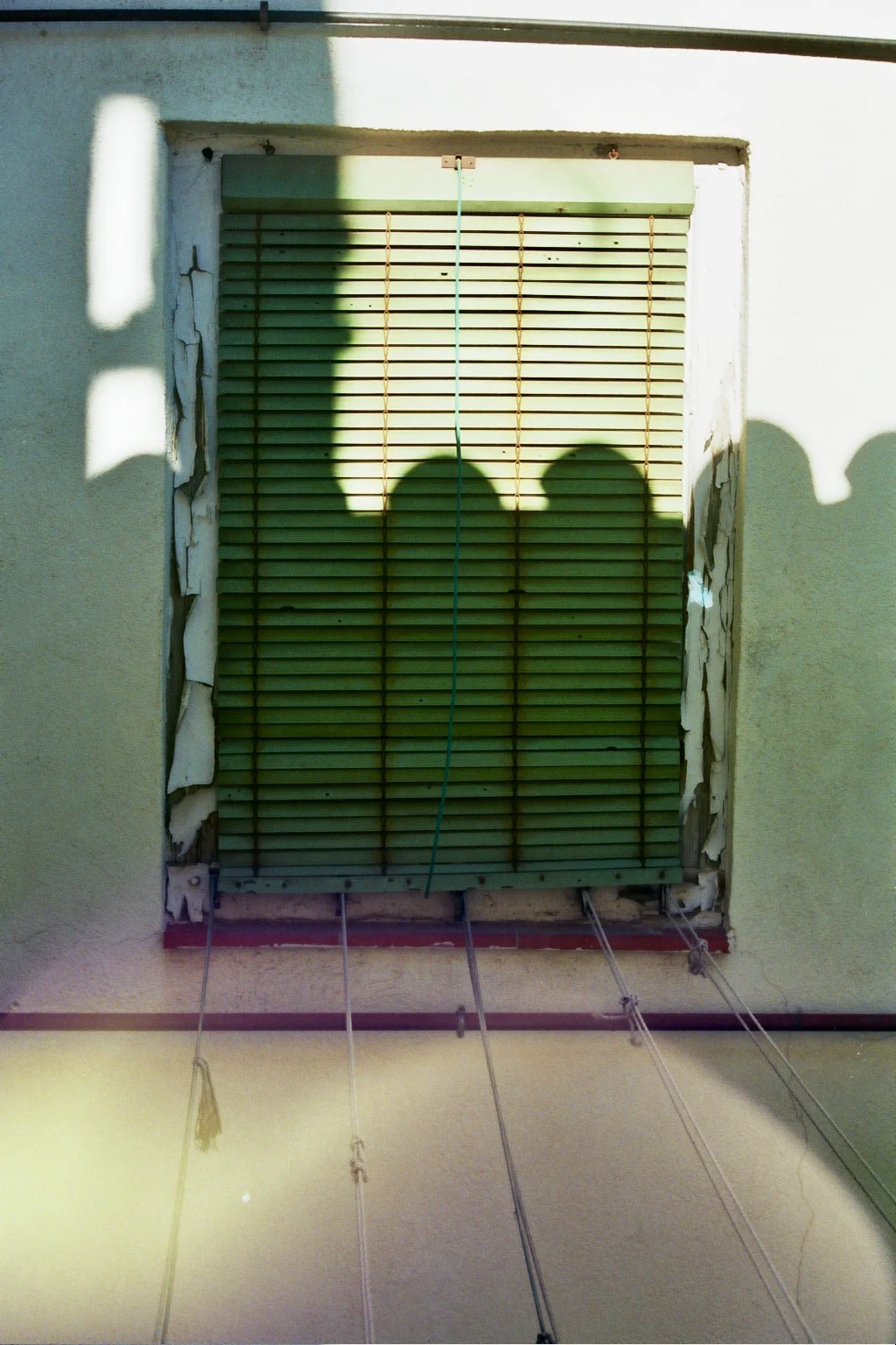 _10_0081.jpg