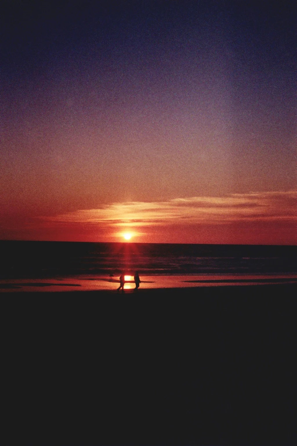 _3A_0043.jpg
