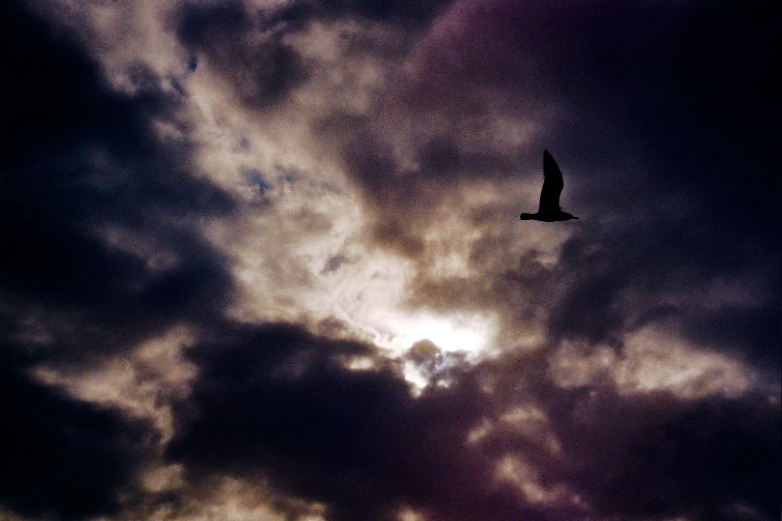 32A_0072.jpg