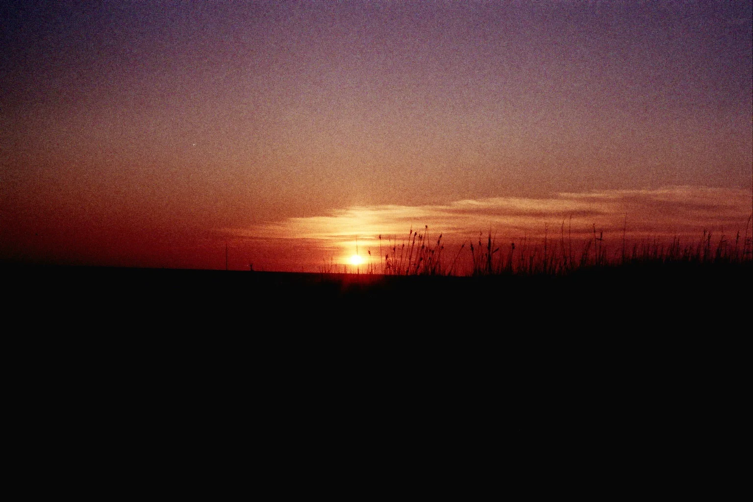 _2A_0042.jpg