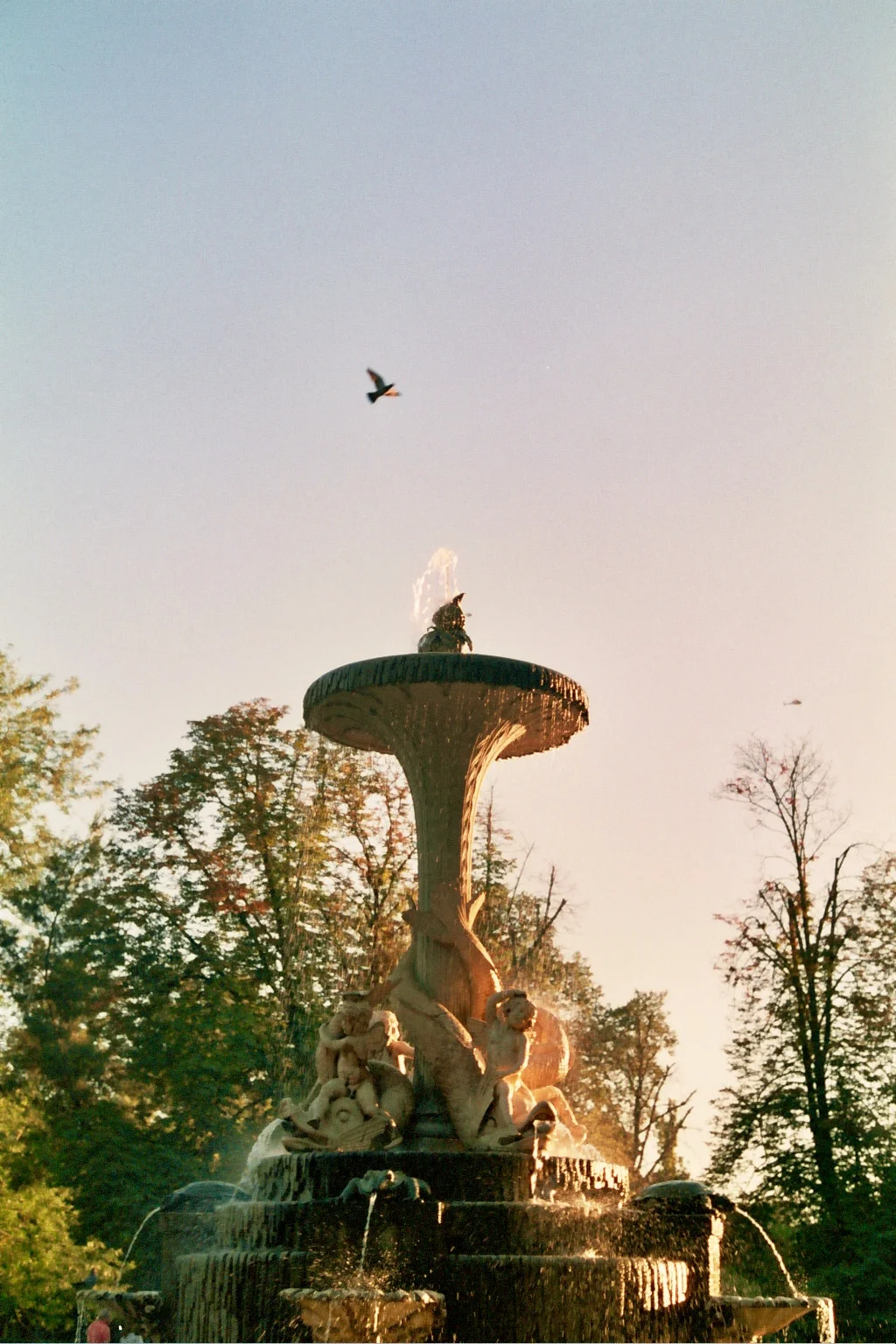 10A_0039.jpg