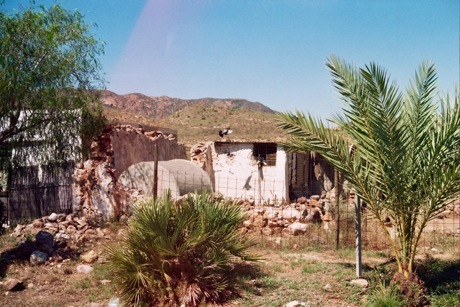 32A_0157.jpg