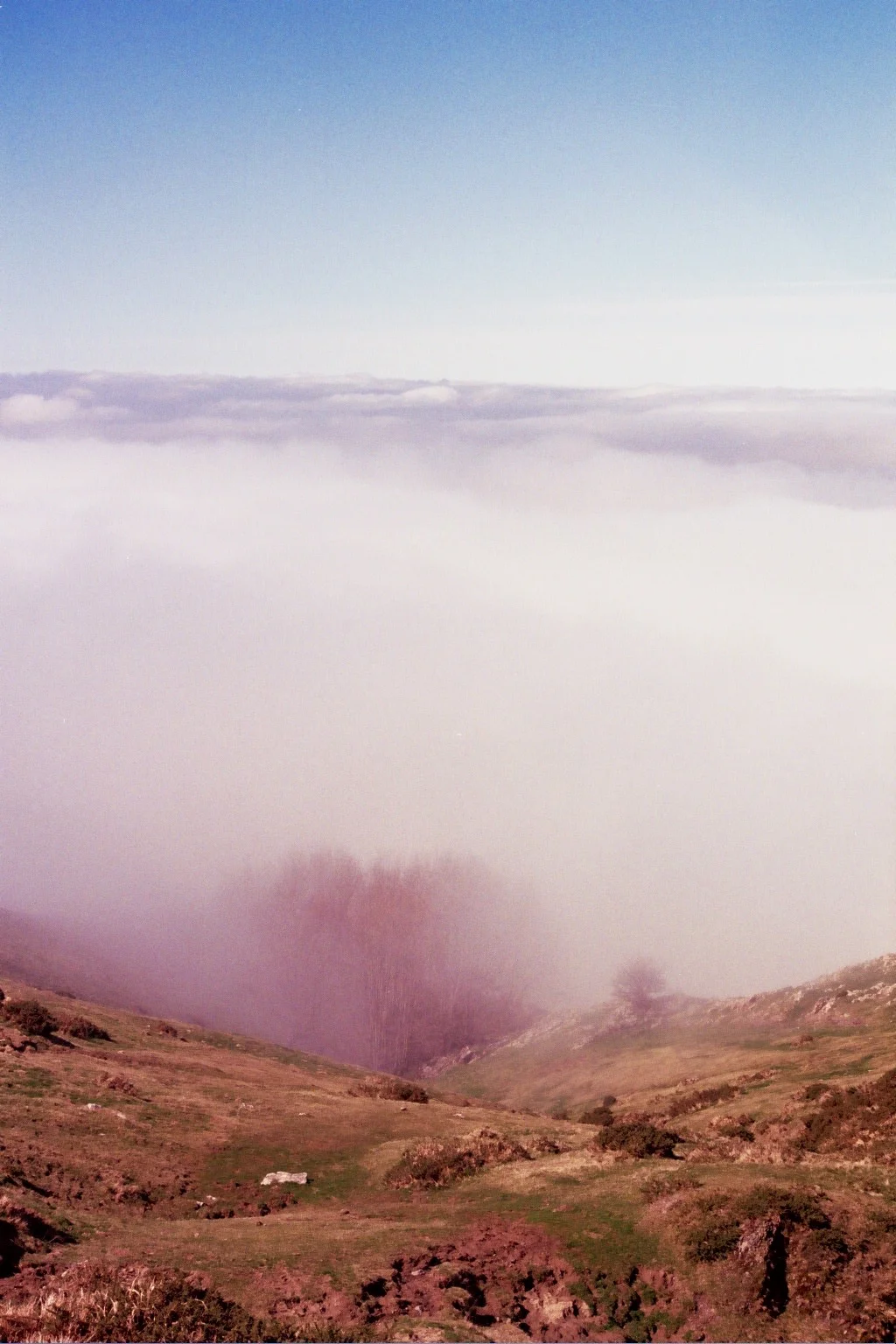 ---_0209.jpg